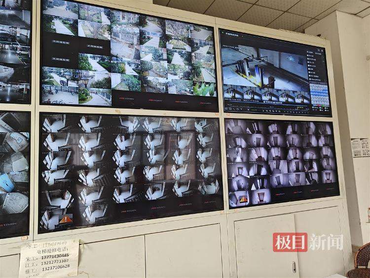 武汉一小区现野猪 社区提醒：切不可与之正面冲突