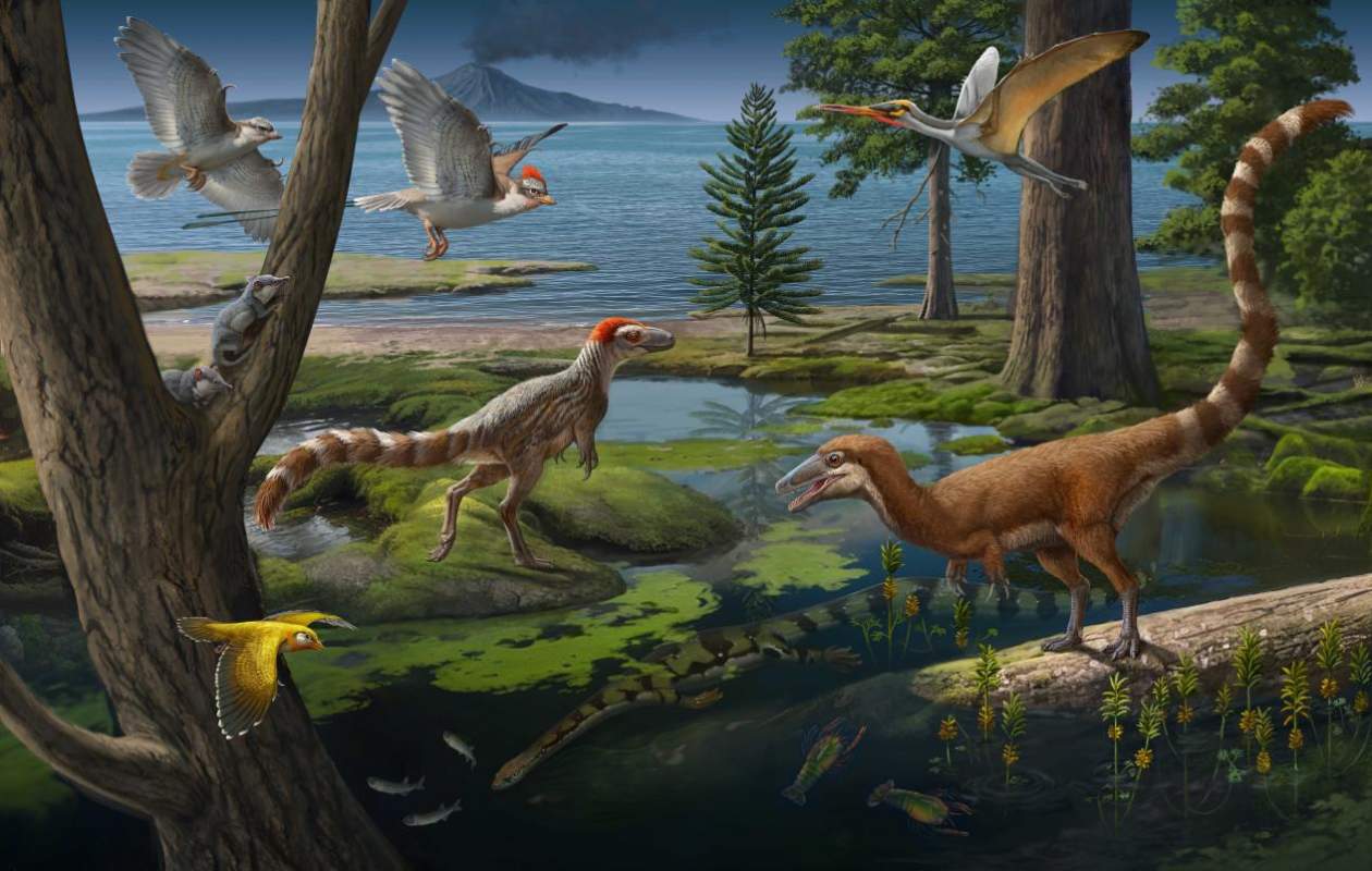 我国科学家命名两类新恐龙属种：凌源中华鸟龙与中国华诞龙