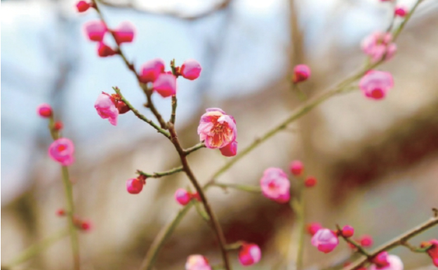 冬季游泉城：一半是冰雪，一半是泉水