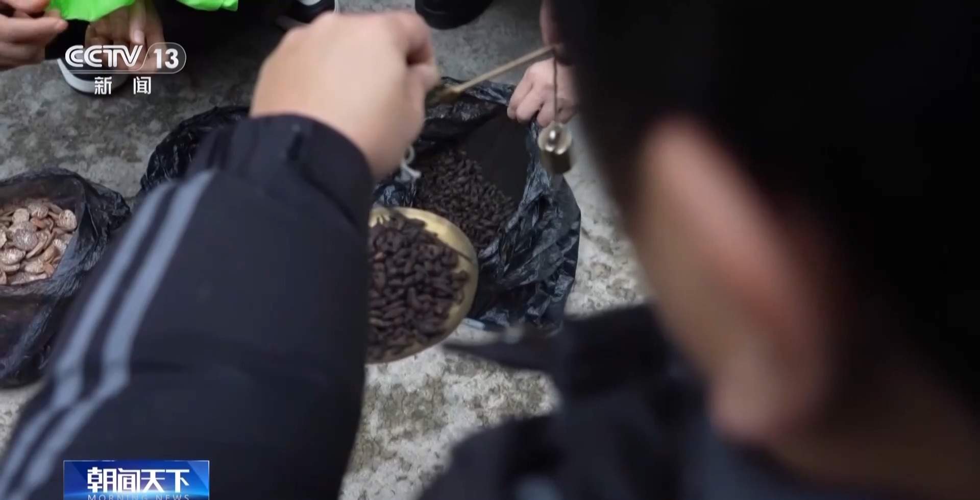 给廉价草药起名“黑虫草”“海底椰”高价卖 一诈骗团伙落网