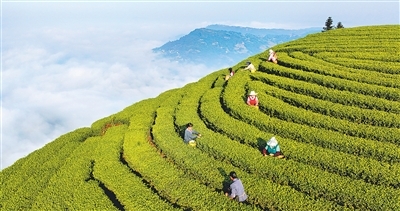 兴业富民 乡村和美（在中国·看中国）