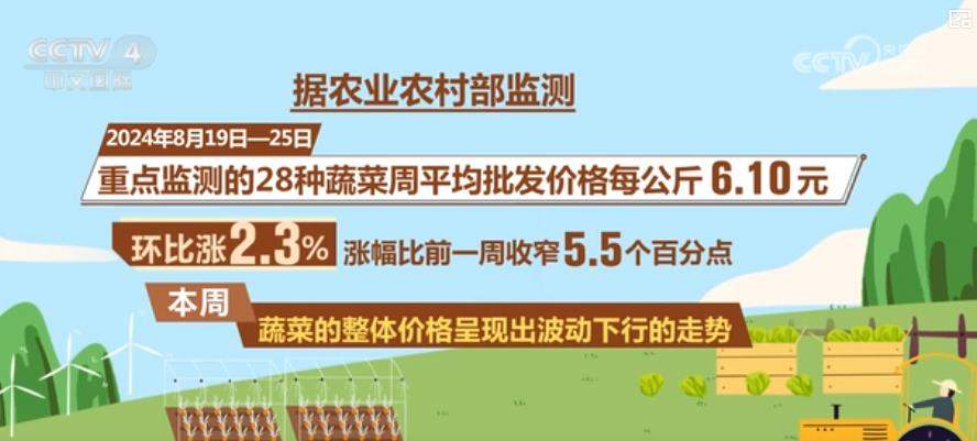 蔬菜价格明显回落 多措并举拎稳“菜篮子”