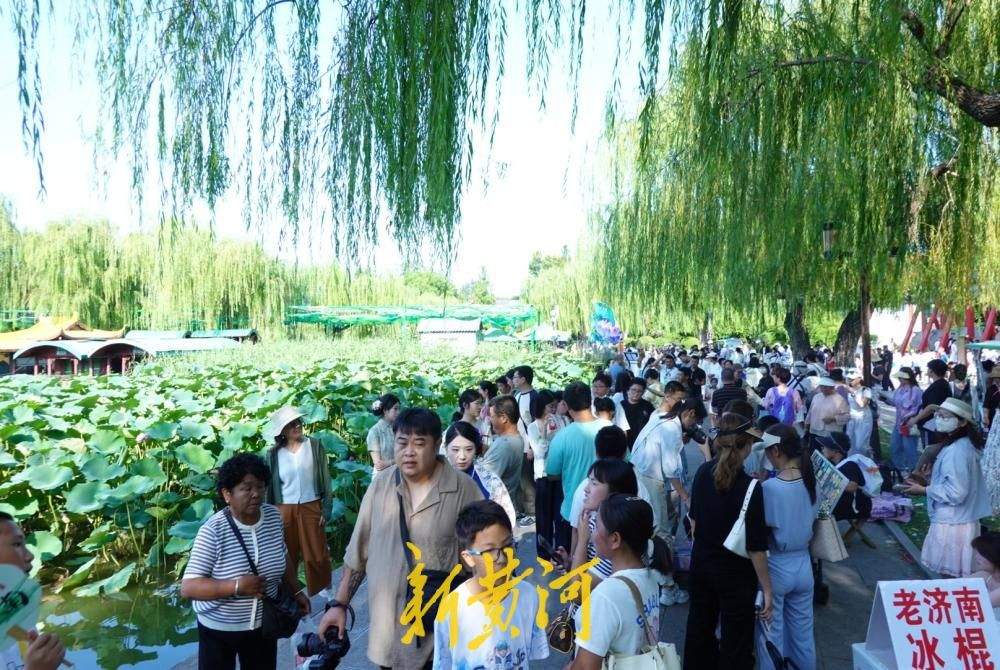 立秋后凉爽舒适！泉城迎来旅游高峰