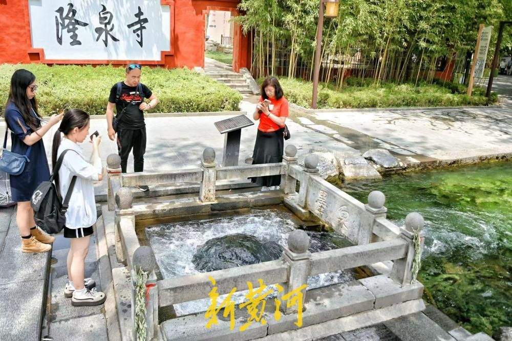 一年四季 泉在济南丨观泉消暑正当时 墨泉喷涌盛景尽显泉城气韵