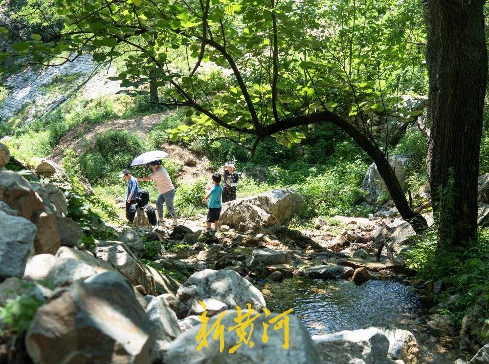 云天收夏色！满目苍翠迎立秋，山涧溪流觅清凉