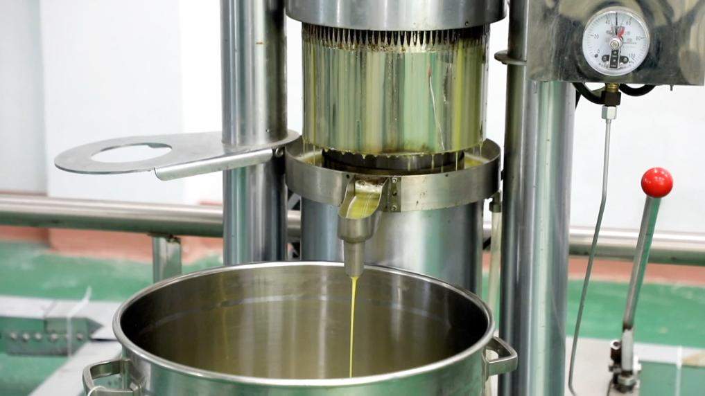 新华视点丨特色产业激活乡村振兴动能