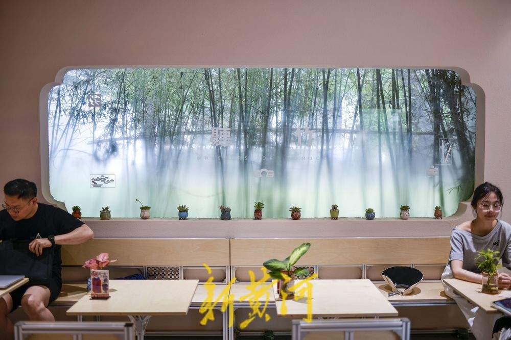 听竹声轻吟，济南百年公园再添新风景