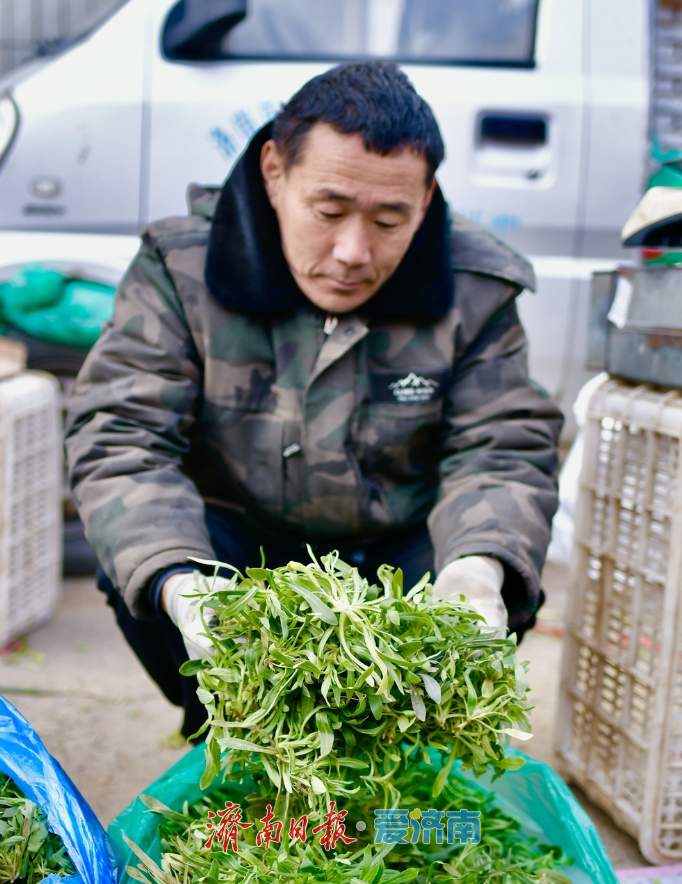 春菜“抢鲜”上市，菜市场满是春天的味道