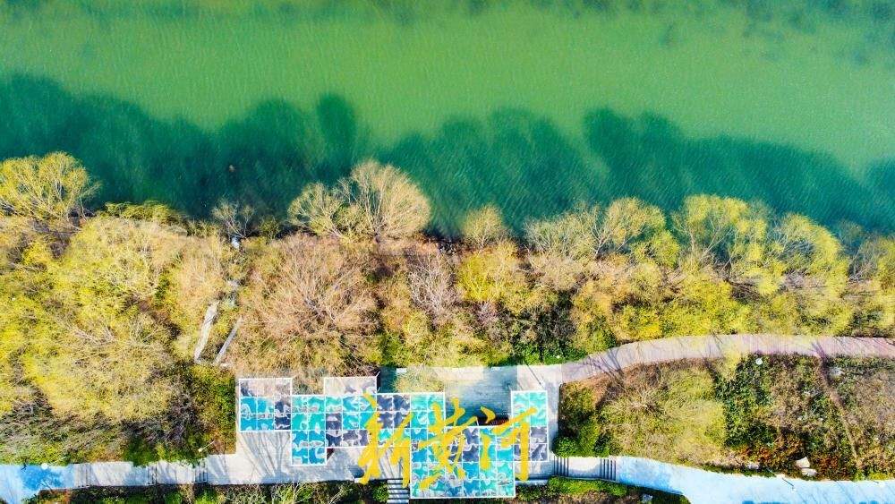 一年四季 泉在济南丨万条垂下绿丝绦 济南小清河尽染春意浓