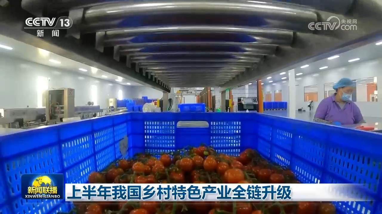 上半年我国乡村特色产业全链升级