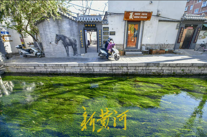 “泉”在济南过大年｜来泉城过年的理由很多，打动你的是哪个？