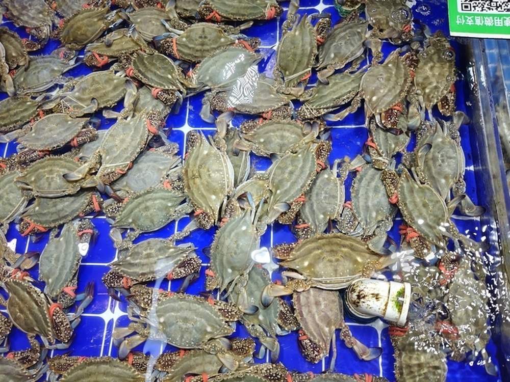 “一天一个价”，济南海鲜市场皮皮虾价格一天降10元