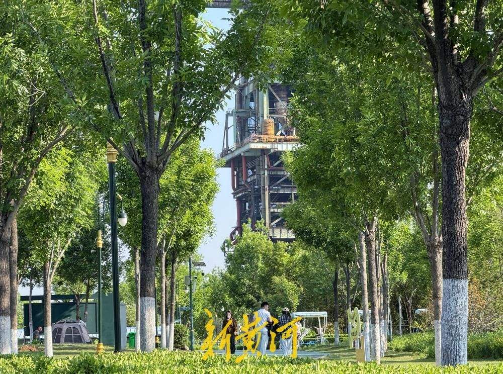 城市里的治愈系！“五一”假期来中央森林公园露营吧