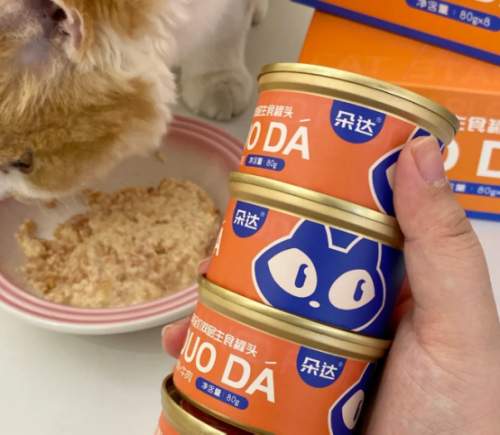 拒绝劣质罐！2026年符合国家质量标准的优质猫罐头推荐