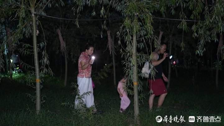 一天吃掉数万只，金蝉如何从林间虫变身“餐桌流量王”