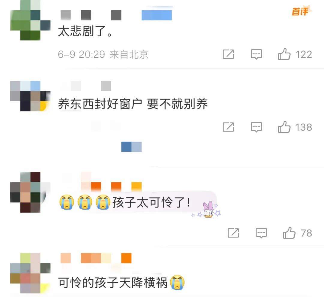 天降乌龟砸中幼童致死 关于高空坠物这些知识要知道