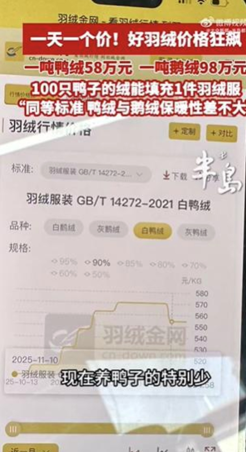 “羽绒价格一天一个价”