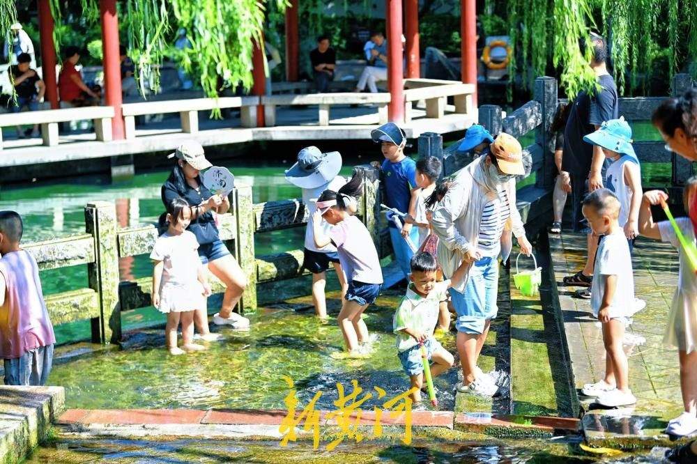 热闹中收官！五龙潭泉水畔上演欢乐亲子戏水图景