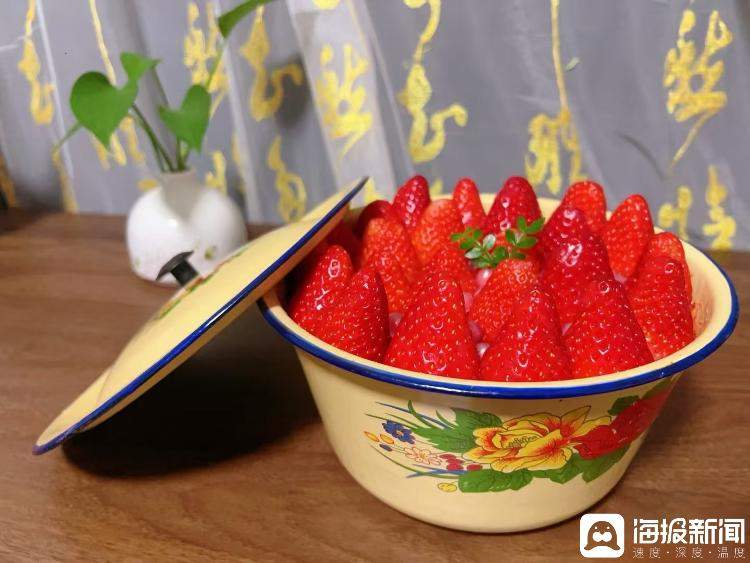 复古搪瓷盆草莓蛋糕成甜品界新宠，搪瓷盆厂称“批发价从2元涨到10元”