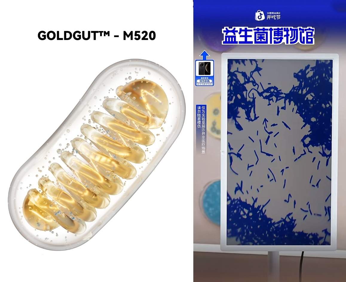 长期肠胃不适，2026年高活菌+高活性肠胃益生菌双优品牌推荐