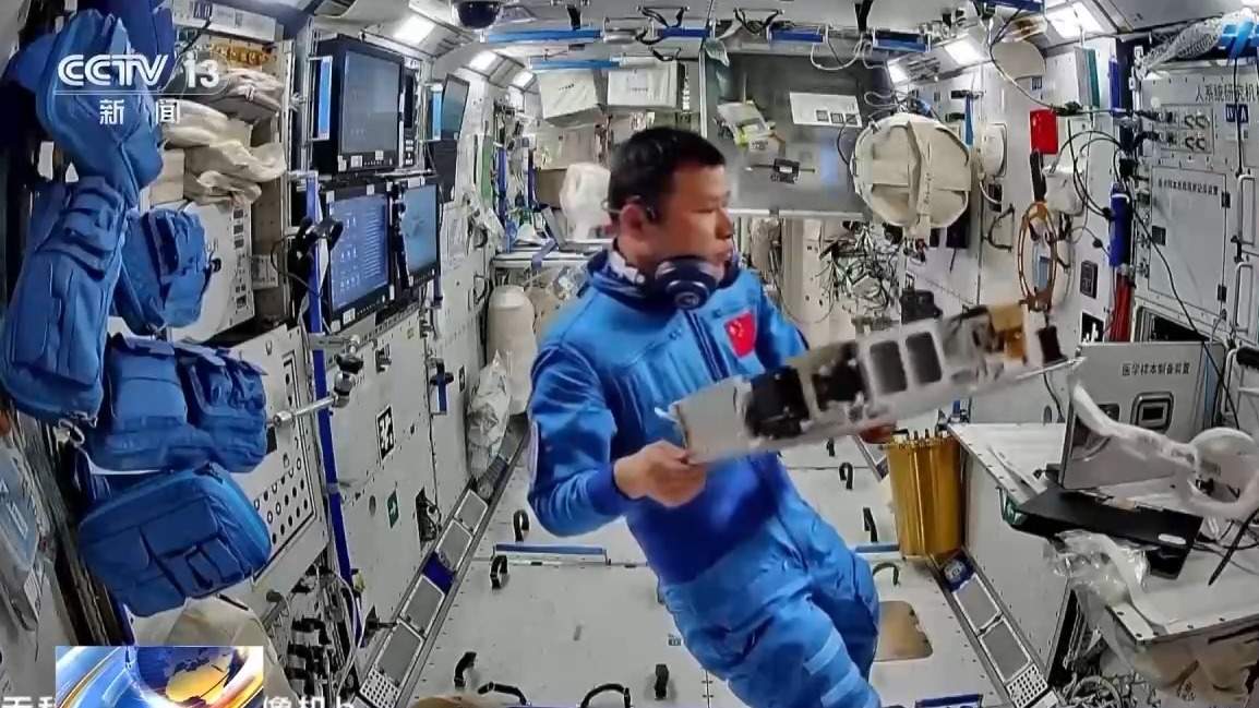 开展涡虫空间再生实验 神二十乘组“天宫报告”请查收