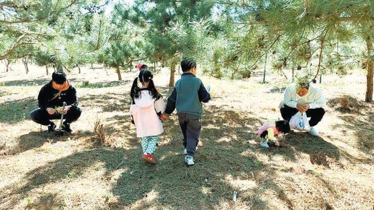 年轻人热衷挖野菜 舌尖“野趣”背后 切莫盲目跟风