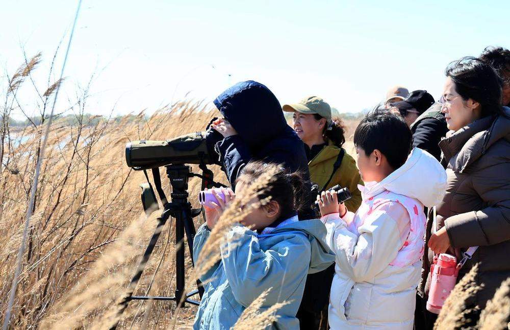 在山东，解锁打开春天的N种方式