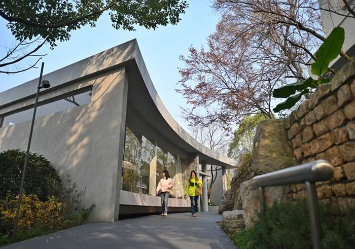 不按套路出牌 撬动商业新模式