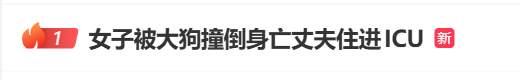女子骑行被未拴绳大狗撞倒身亡，5个月后丈夫突发脑溢血进ICU，家中还有3个孩子两个老人……警方已对狗主人立案侦查