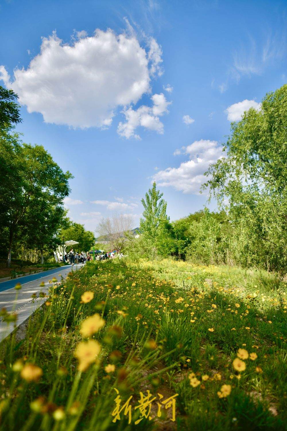 泉城初夏限定美景，蓝天白云悠悠入画来