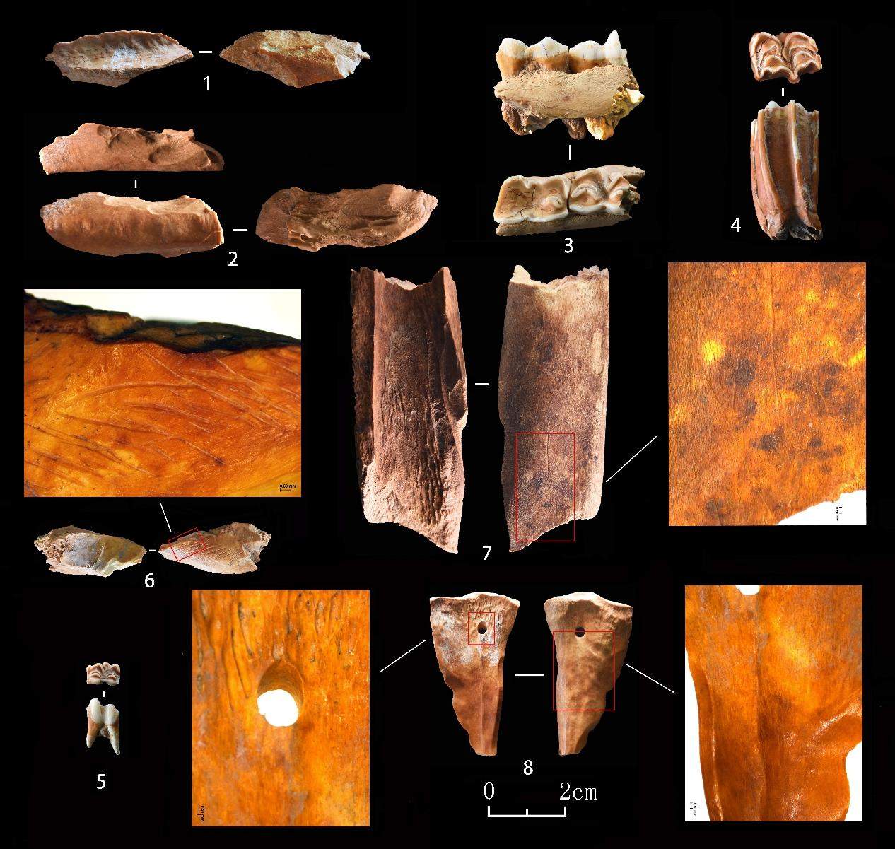 出土石制品316件 山西虎窑洞旧石器遗址调查资料公布