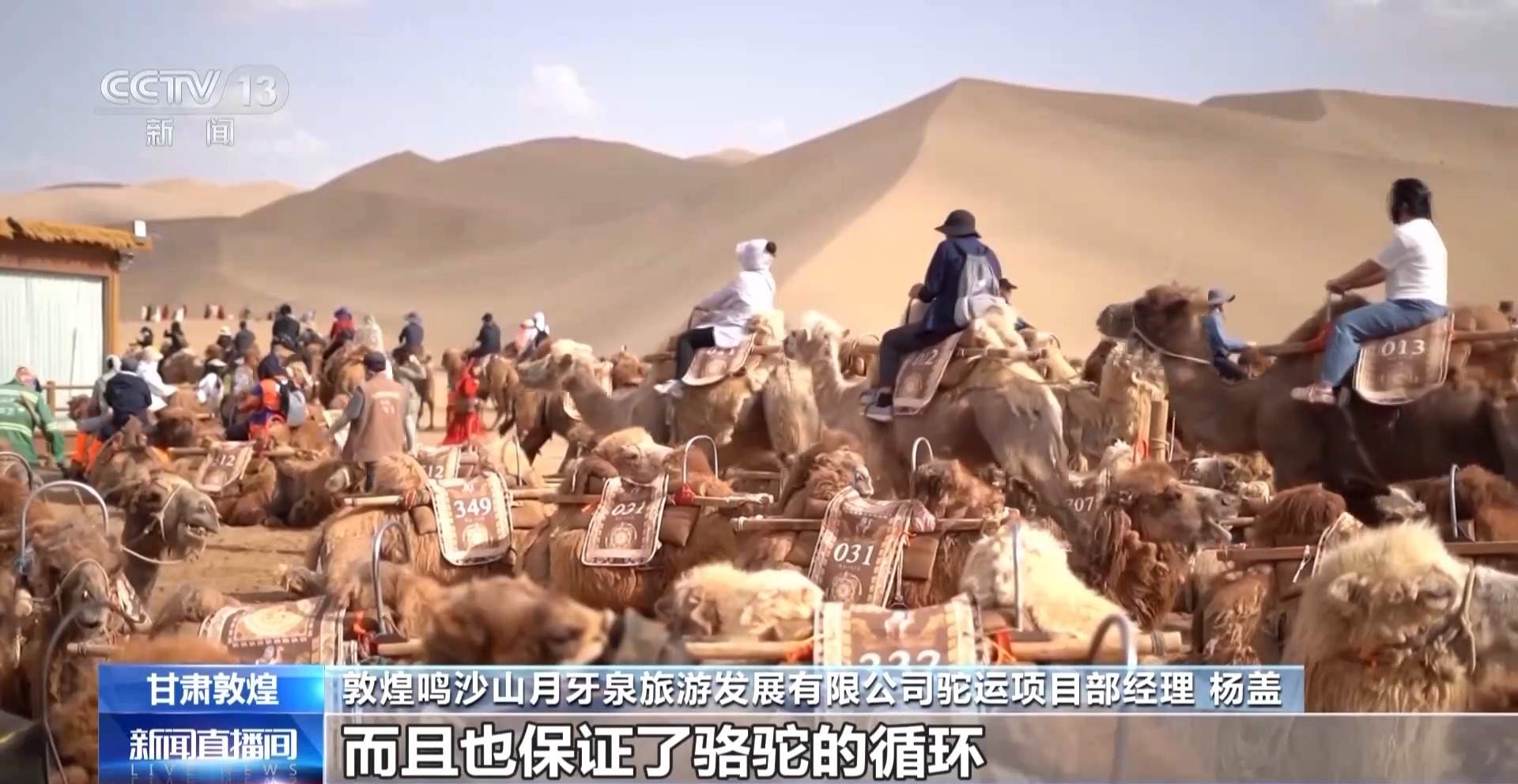 专属票号 边玩边等 在鸣沙山骑骆驼不用长时间排队啦