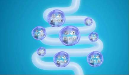 益生菌奶粉怎么选？一篇看懂菌种功效与科学挑选指南