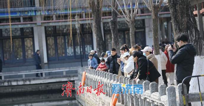 济南五龙潭公园春意盎然，处处有生机