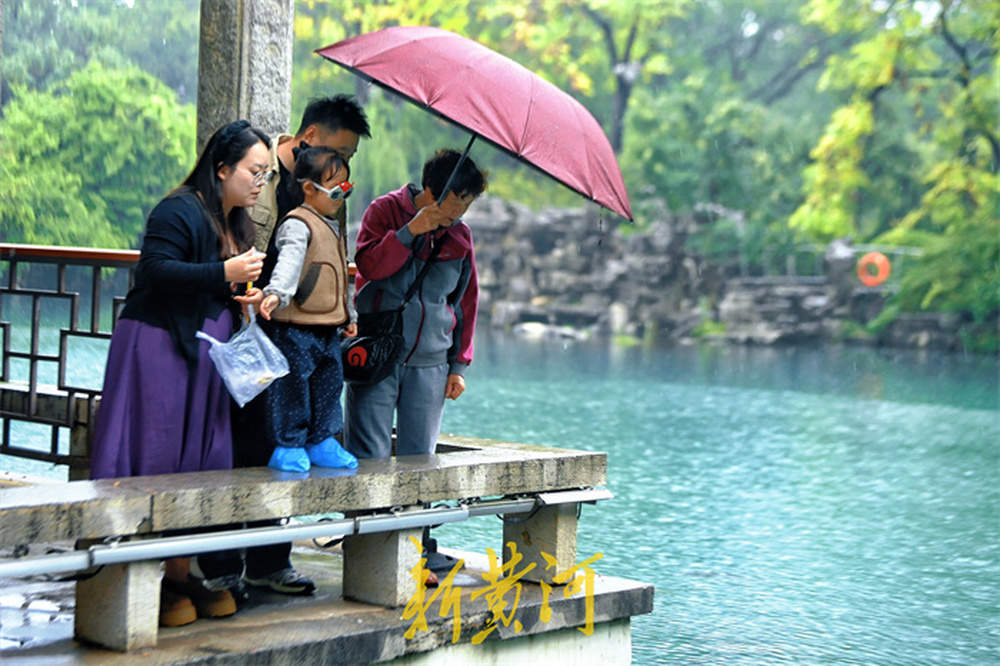 秋雨润泉城，赏泉好时节