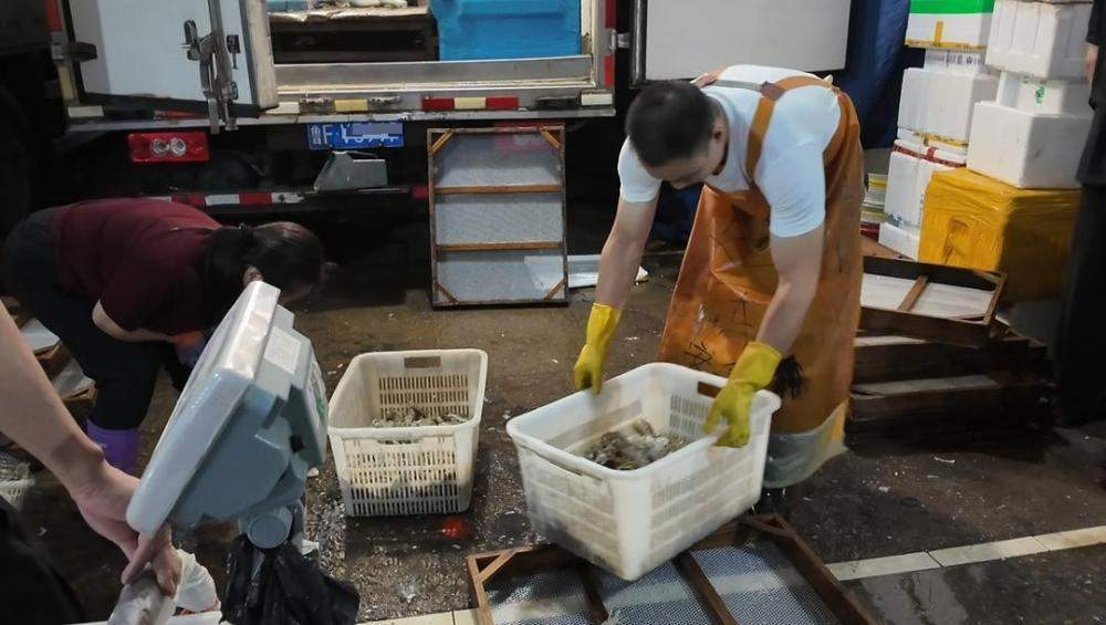济南迎“开海第一网”:台风致鲜货晚到一日,凌晨市场交易火爆