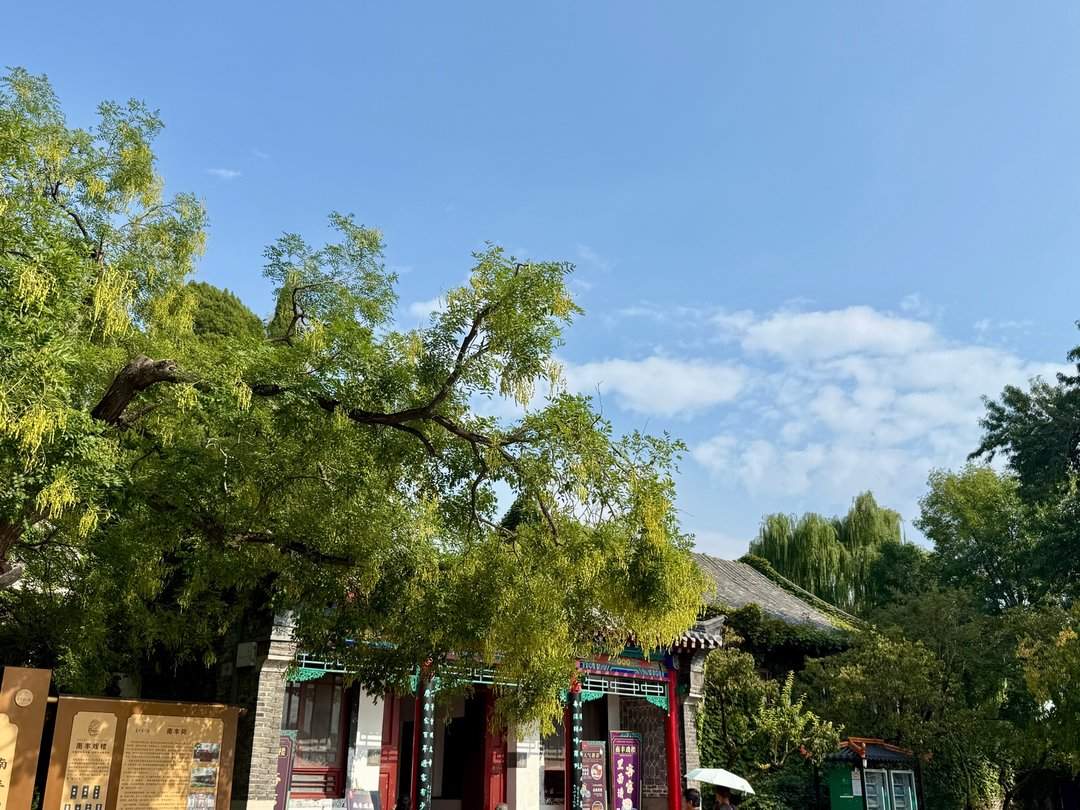 济南大明湖：杨柳依依里，湖光山色新