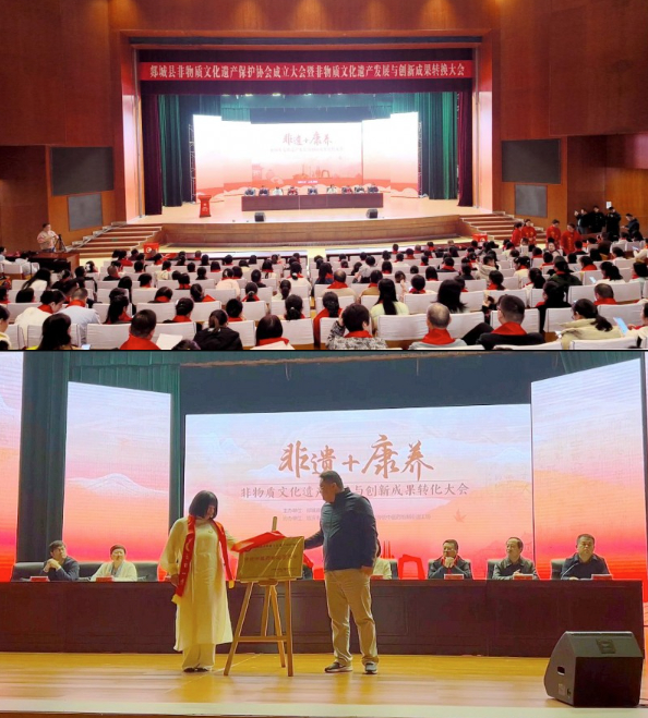非遗+康养盛会启幕：子轩堂非遗工坊负责人柳琳做专题报告
