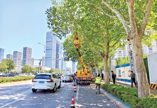 守护“一城绿” 心系“国庆红”