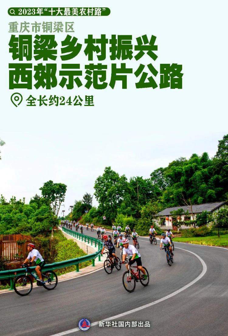 年度“十大最美农村路”！山东莱阳市莱高线上榜