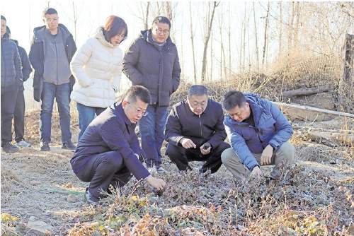 扎根乡土，他们用“实干担当”诠释“为民初心”