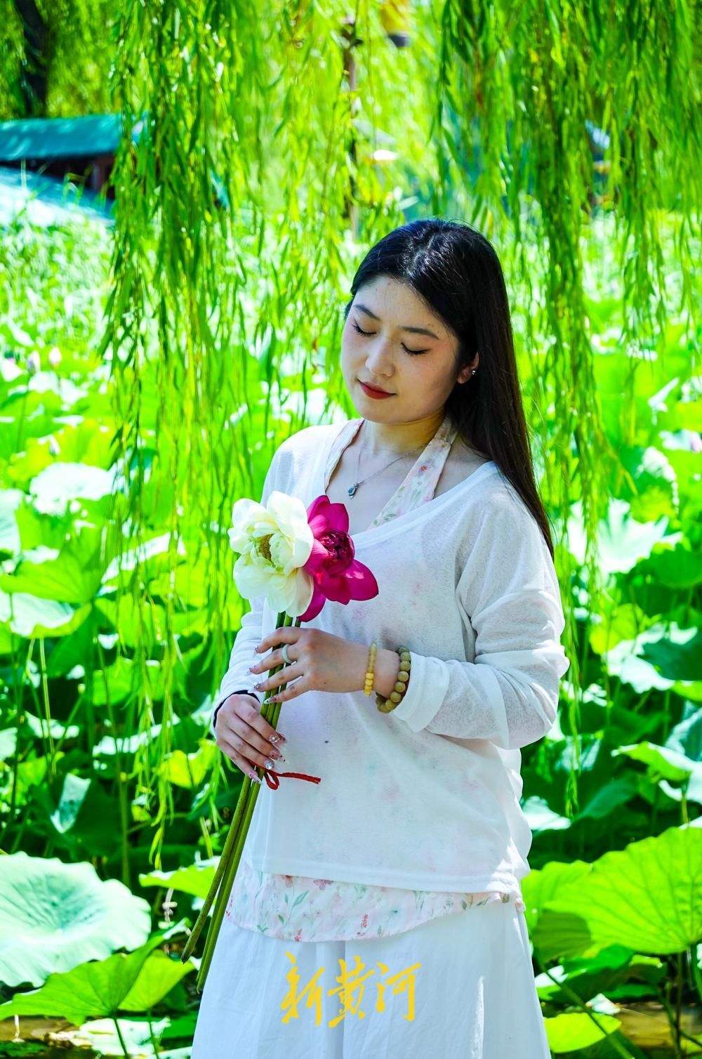 盛夏赏荷正当时，大明湖畔“荷花经济”悄然走红