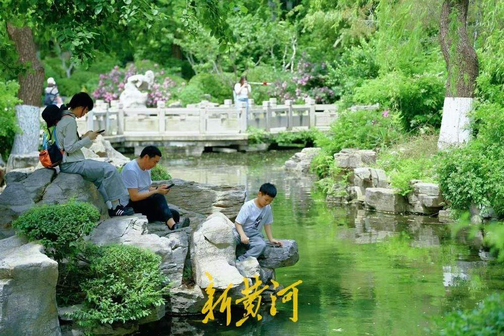消夏纳凉好去处，济南五龙潭人气持续高涨