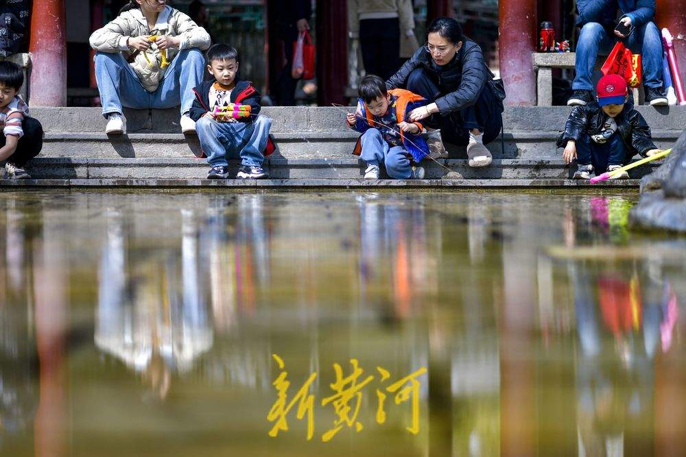 仲春时节开启“追花游”，济南踏青赏花热度攀升