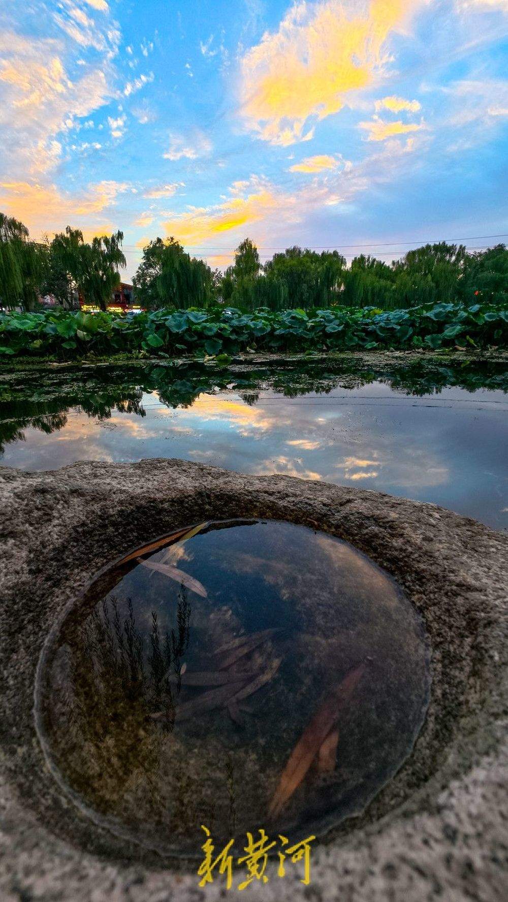 雨后凉爽天气上线，泉映夕阳洒金醉晚霞