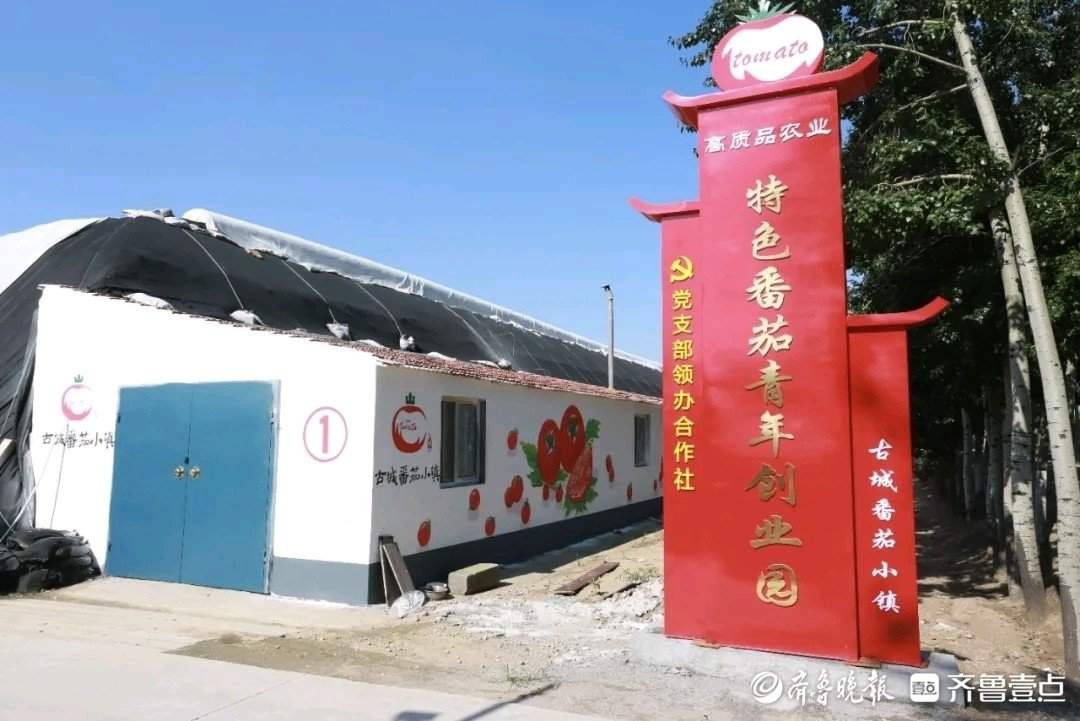 山东破题片区化:乡村“手拉手” 共富路“步步宽”