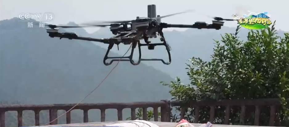 “以果富民”“以果促旅”谋发展 小樱桃撬动大产业拓展乡村振兴路