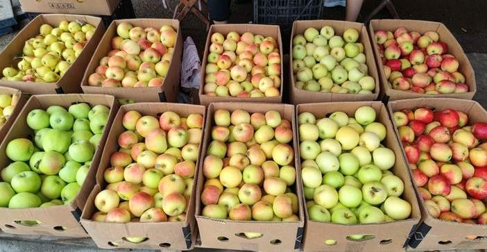 嘎啦、美八……早熟苹果陆续在济南上市，你尝了吗？