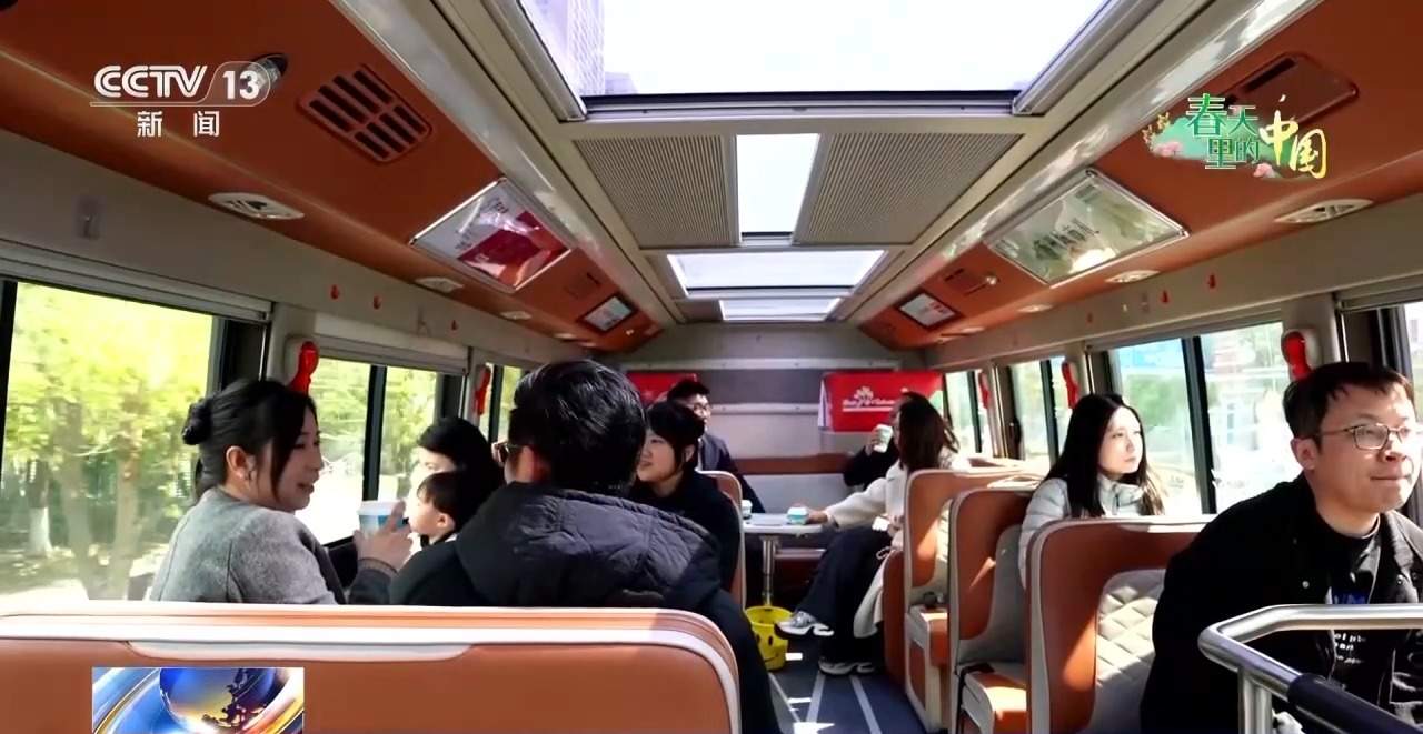 各地春日赏花有哪些好去处？请看这份赏花攻略