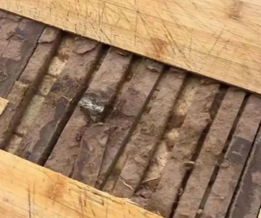 女子劈开用了几年的菜板，里面全部发霉，赶紧自查